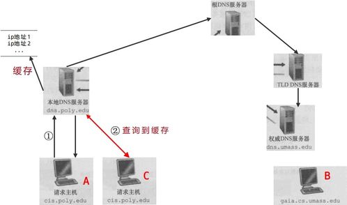 01计算机网络 dns因特网的目录服务